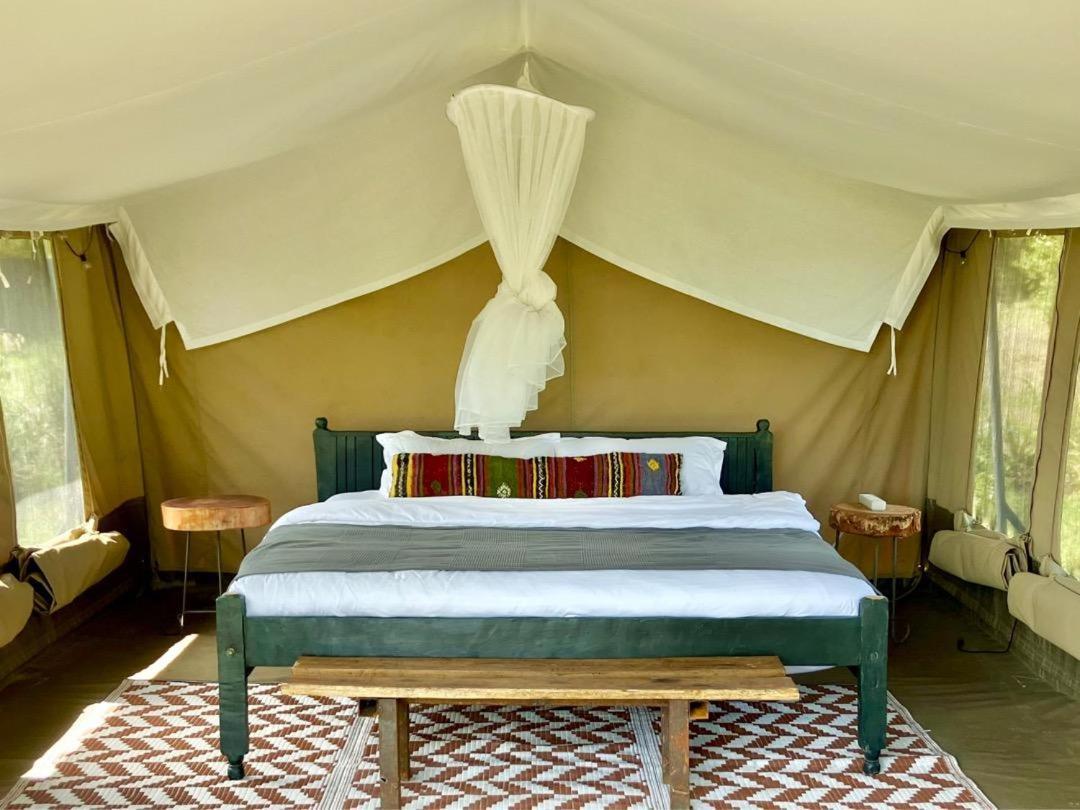 ホテル Kambu Mara Camp Sekenani 部屋 写真