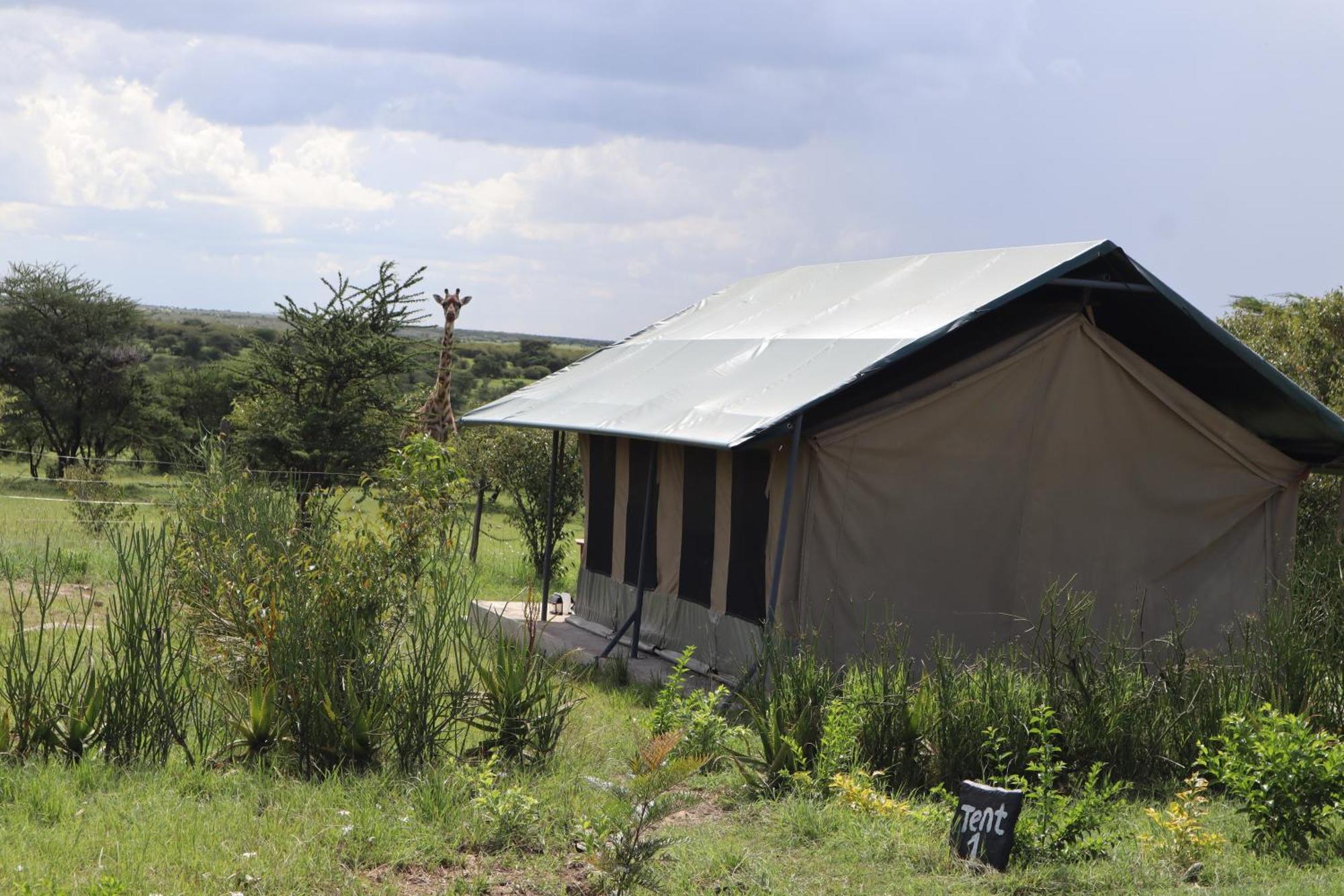 ホテル Kambu Mara Camp Sekenani エクステリア 写真
